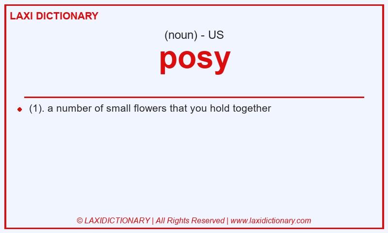 Definition posy in American English