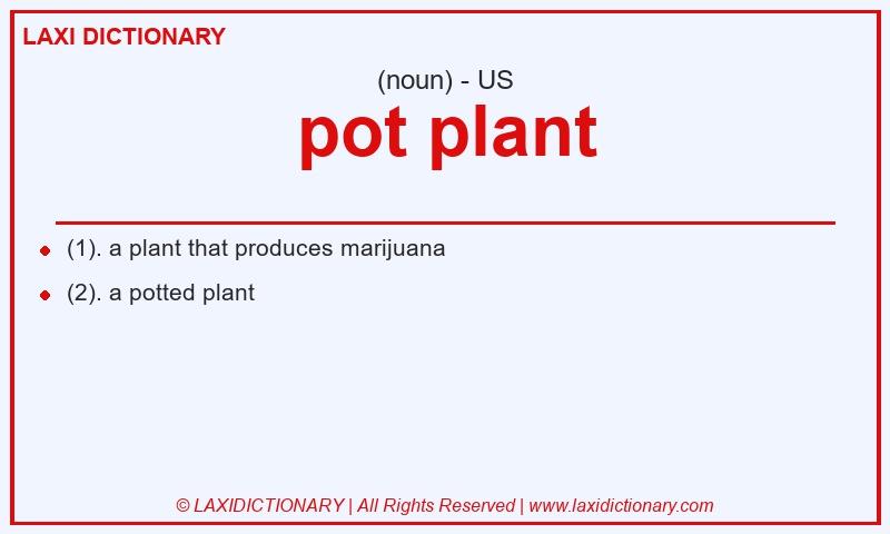 Definition pot plant in American English