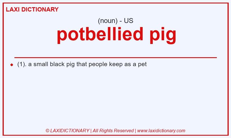 Definition potbellied pig in American English
