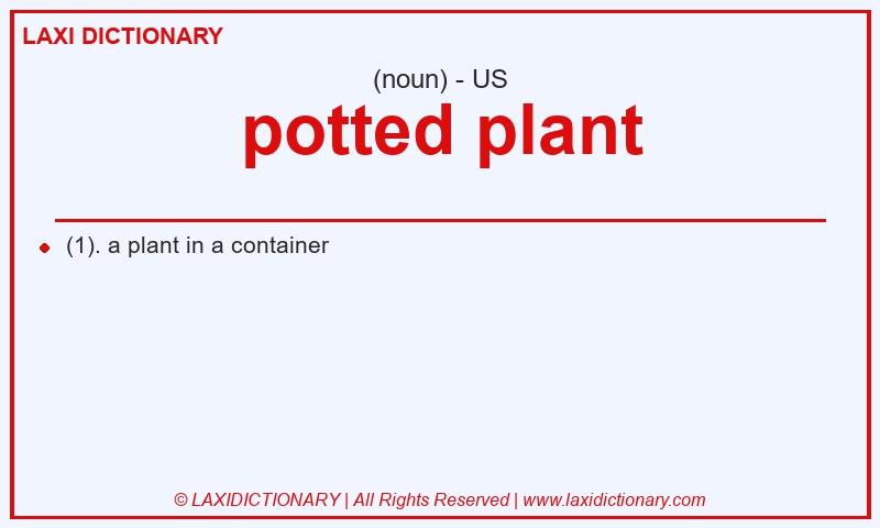 Definition potted plant in American English