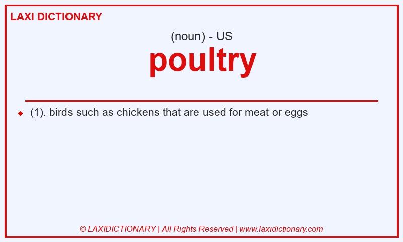 Definition poultry in American English