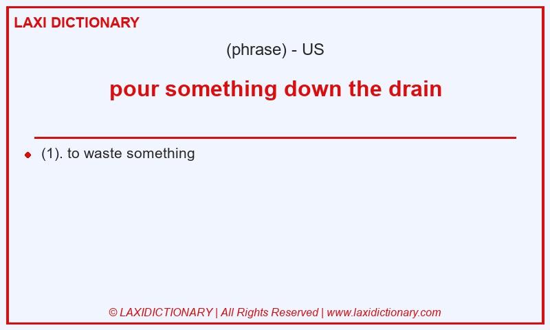 Definition pour something down the drain in American English