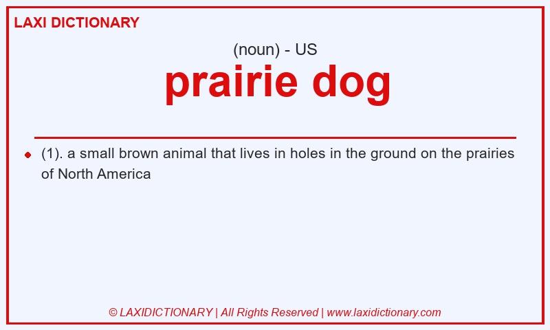 Definition prairie dog in American English