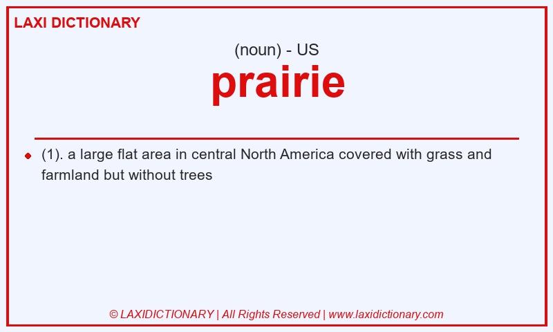 Definition prairie in American English