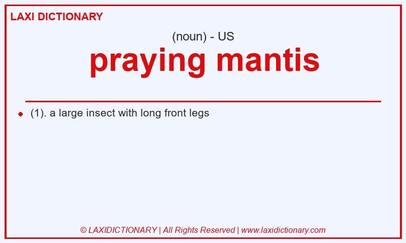 Definition praying mantis in American English
