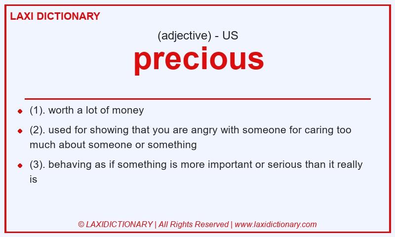 Definition precious in American English