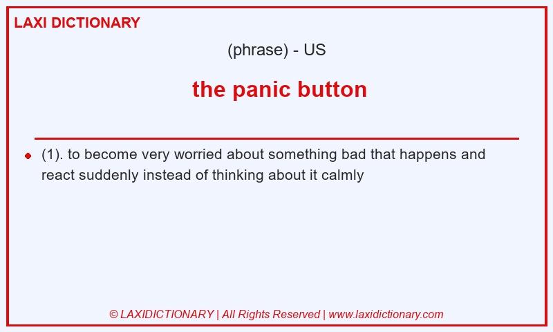 Definition  the panic button in American English