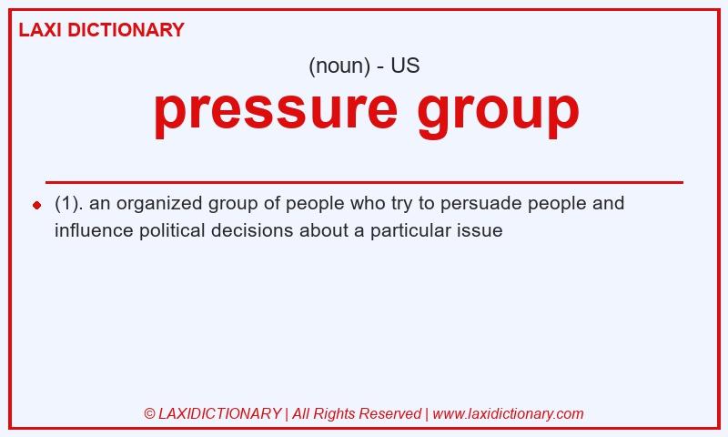 Definition pressure group in American English