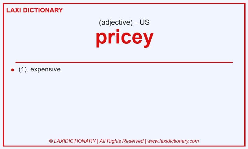Definition pricey in American English