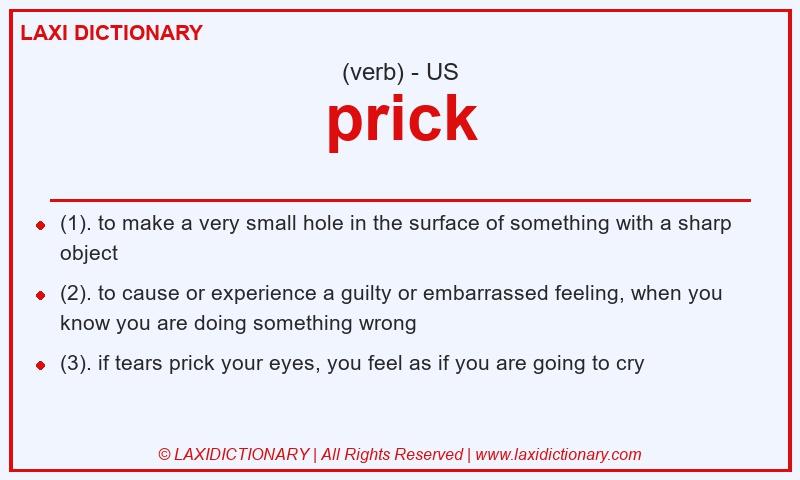Definition prick in American English