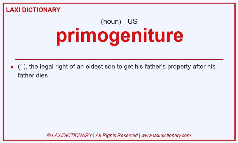 Definition primogeniture in American English
