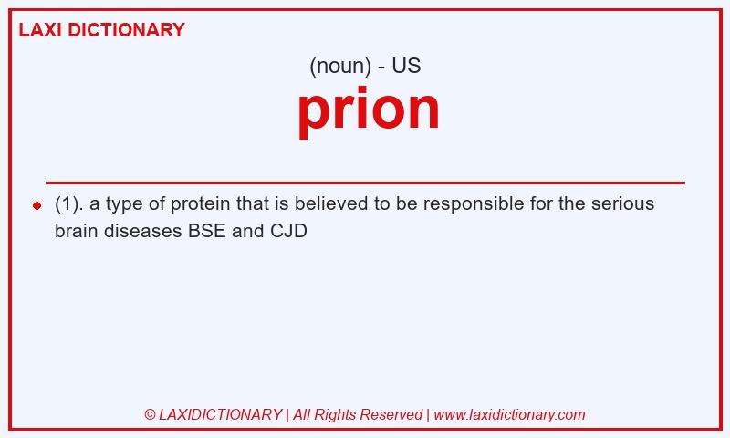 Definition prion in American English