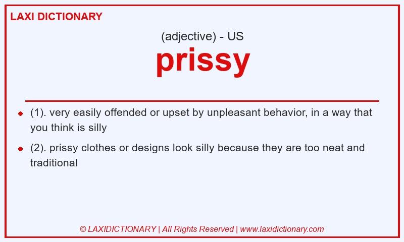 Definition prissy in American English