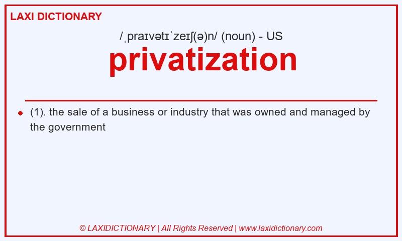 Definition privatization in American English