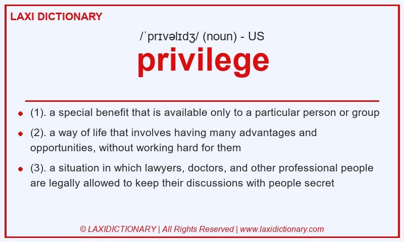 Definition privilege in American English