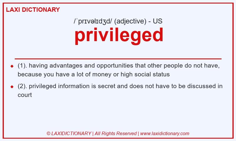 Definition privileged in American English