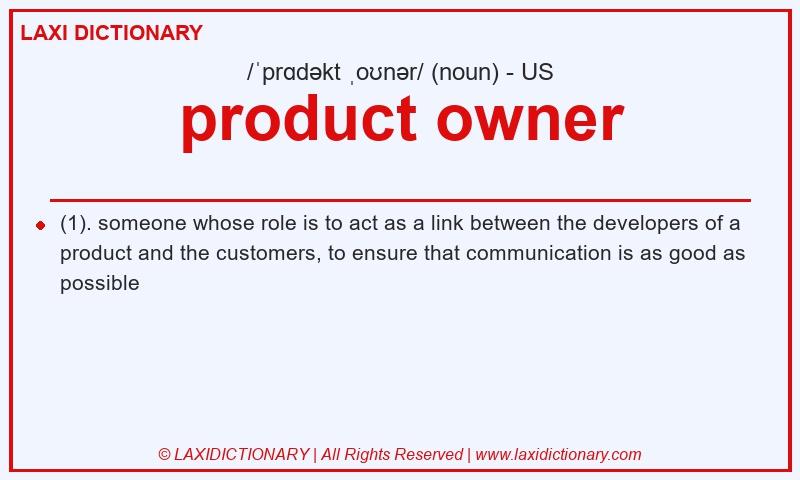 Definition product owner in American English