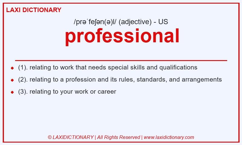 Definition professional in American English