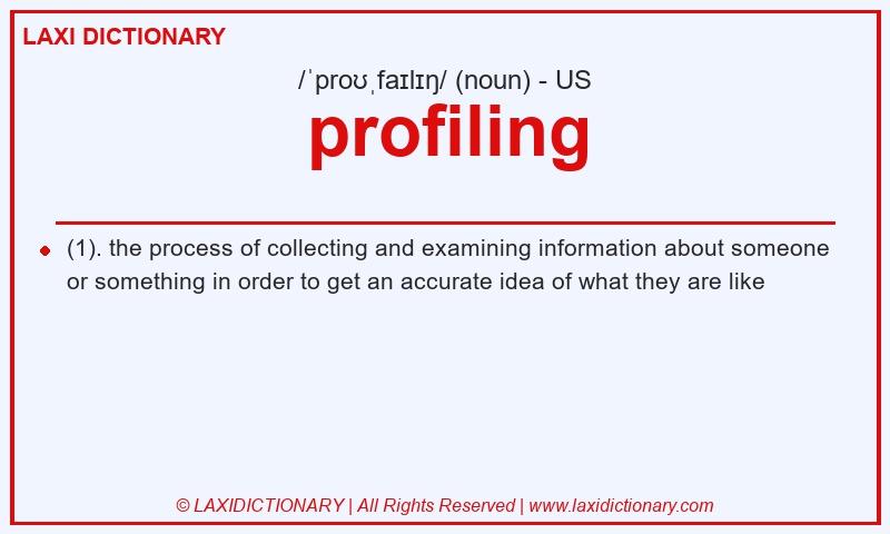 Definition profiling in American English