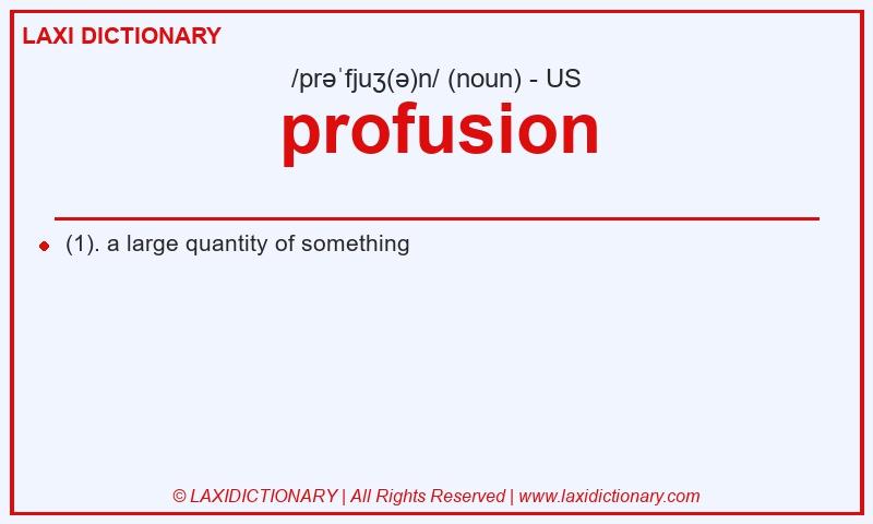 Definition profusion in American English