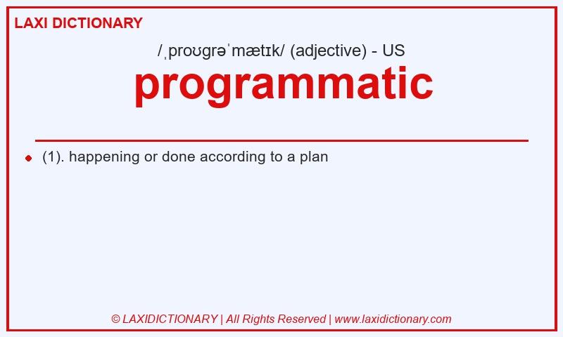 Definition programmatic in American English