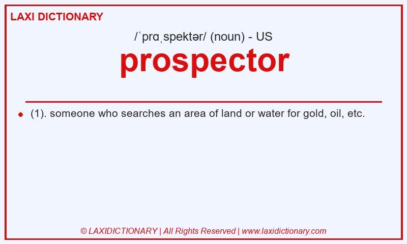 Definition prospector in American English