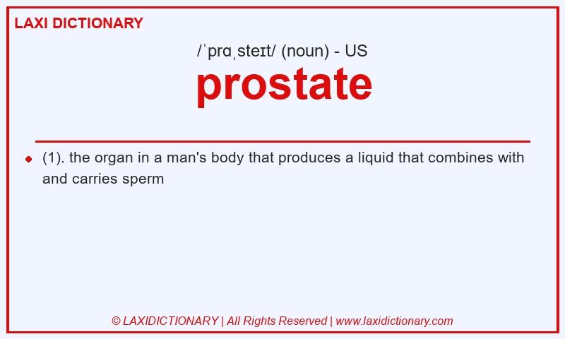 Definition prostate in American English