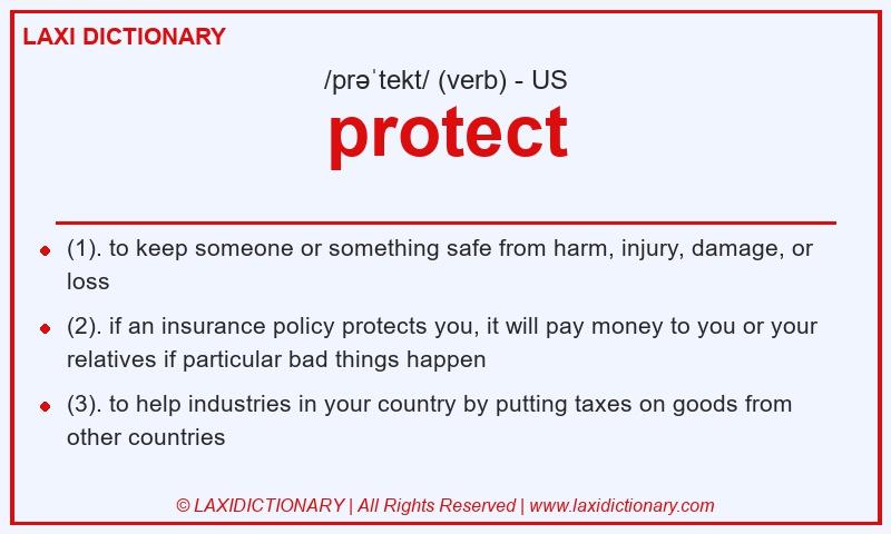 Definition protect in American English