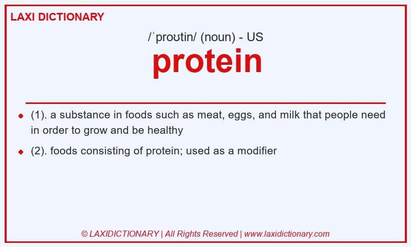 Definition protein in American English