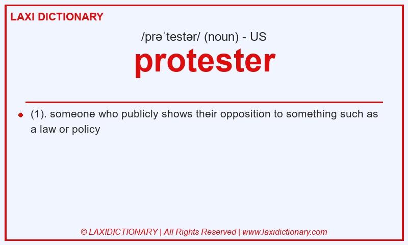 Definition protester in American English