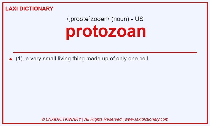 Definition protozoan in American English