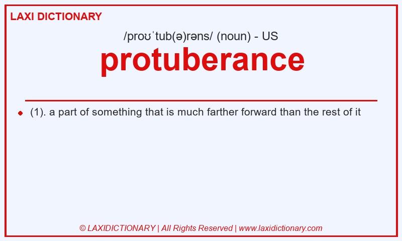 Definition protuberance in American English