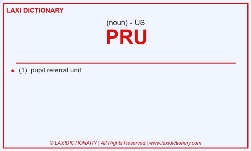 Definition PRU in American English