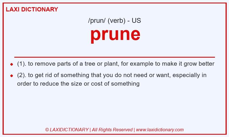 Definition prune in American English