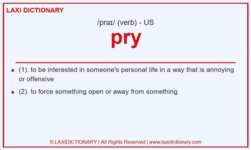 Definition pry in American English