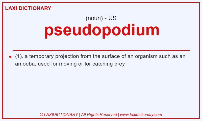 Definition pseudopodium in American English