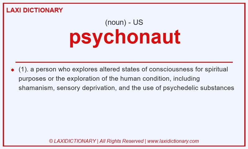 Definition psychonaut in American English