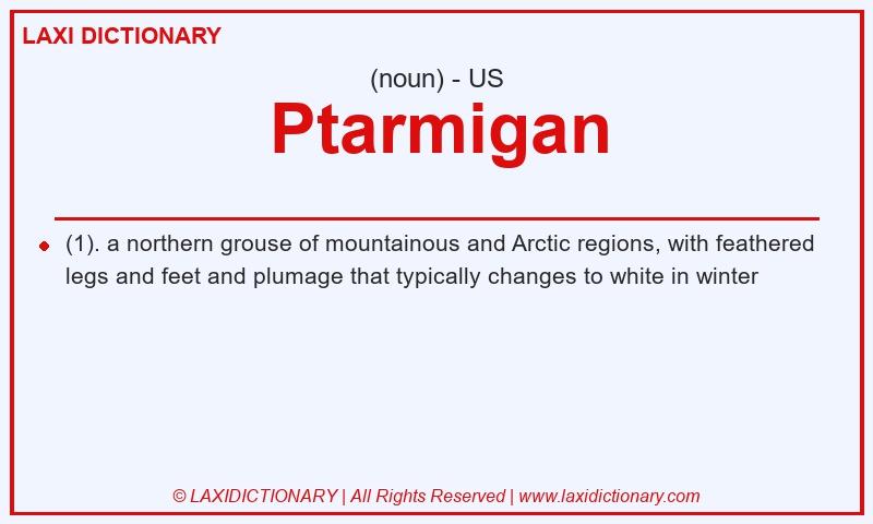 Definition Ptarmigan in American English