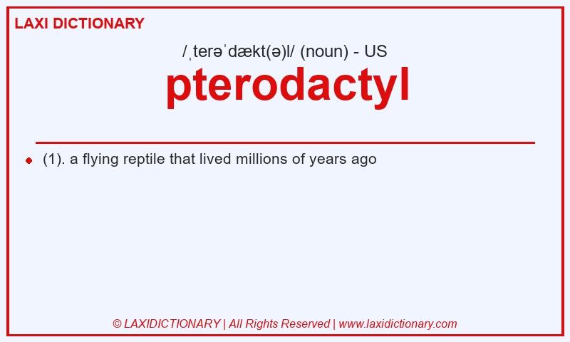 Definition pterodactyl in American English