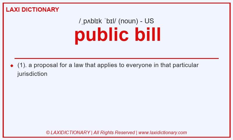Definition public bill in American English