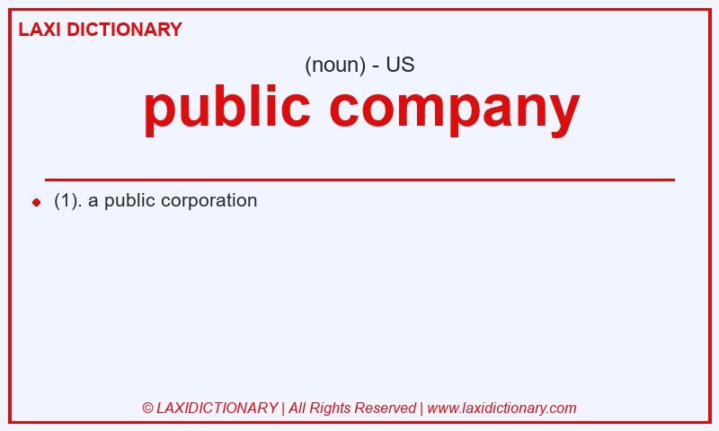 Definition public company in American English