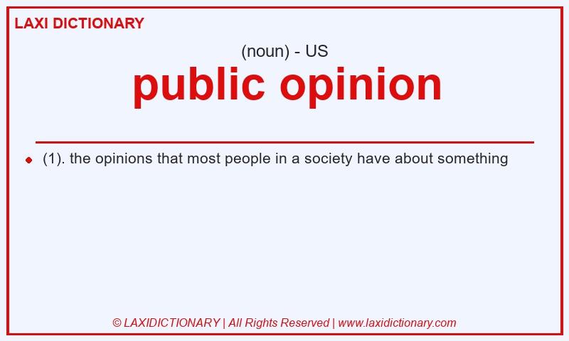 Definition public opinion in American English