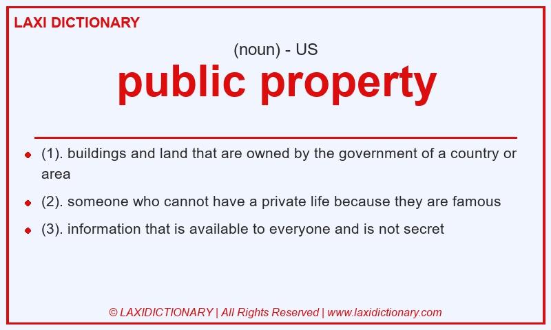 Definition public property in American English
