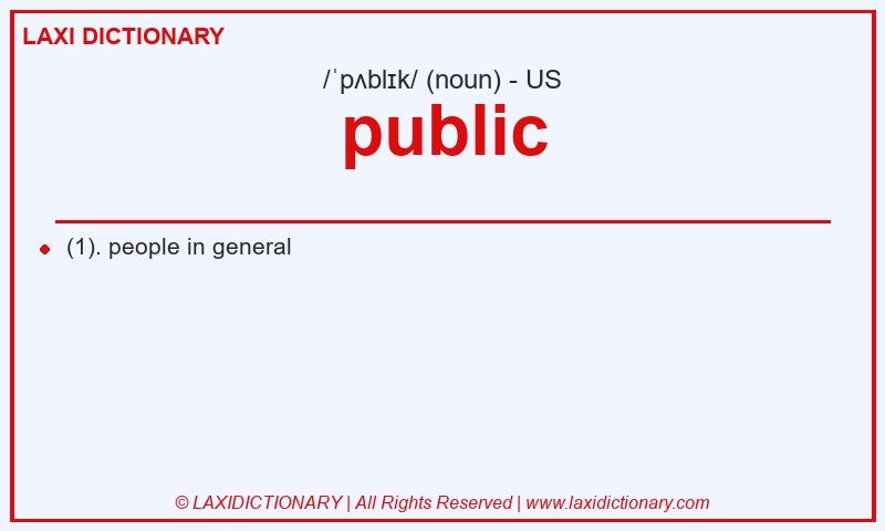 Definition public in American English
