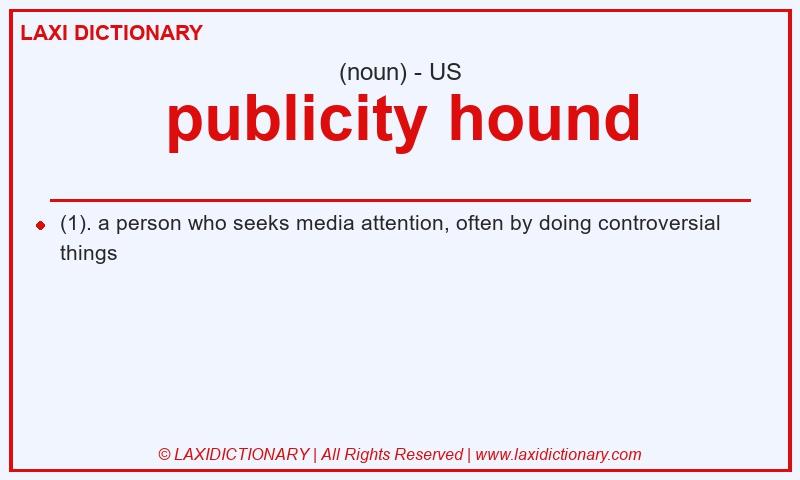 Definition publicity hound in American English