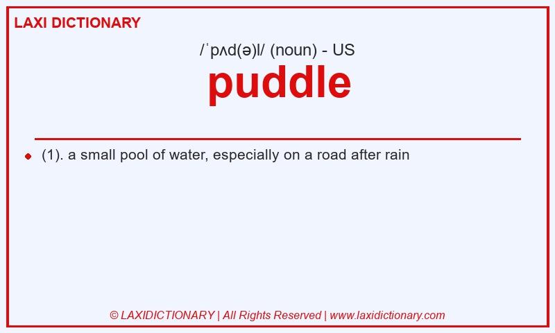 Definition puddle in American English