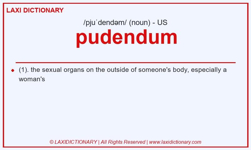 Definition pudendum in American English