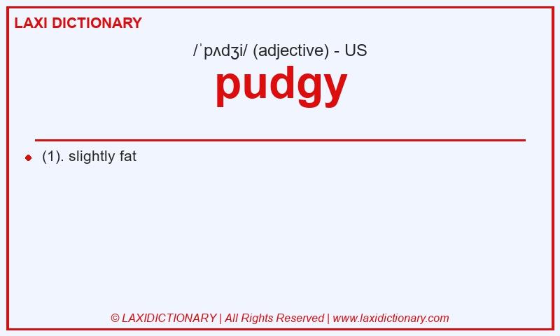 Definition pudgy in American English