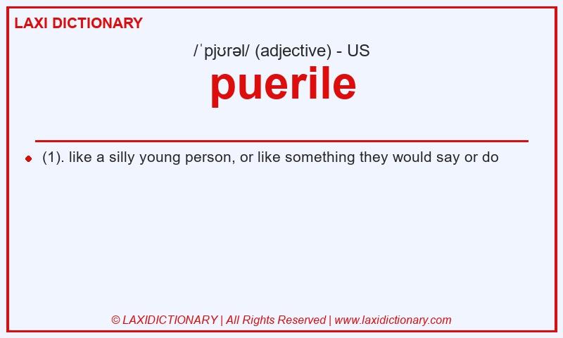 Definition puerile in American English