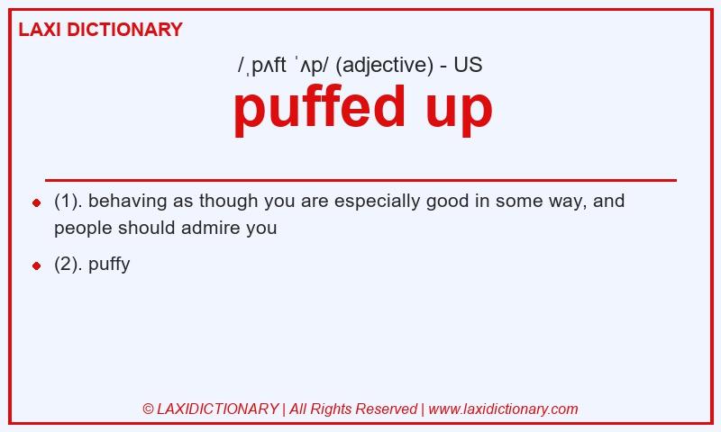 Definition puffed up in American English